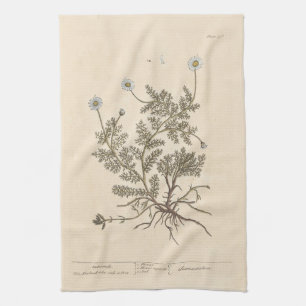 Chamomile by Elizabeth Blackwell Kitchen Towel