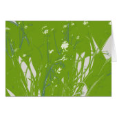 chamomile field green (Front Horizontal)