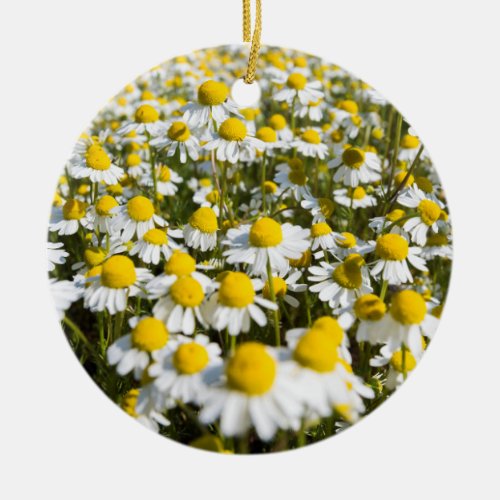 Chamomile Field Hungary Ceramic Ornament