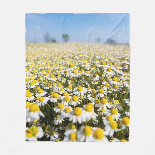 Chamomile Field Hungary Fleece Blanket