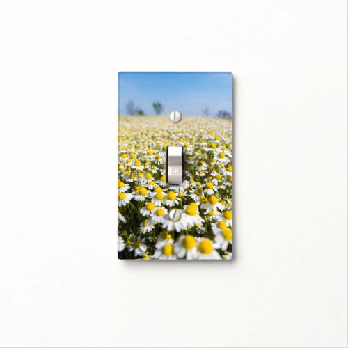 Chamomile Field Hungary Light Switch Cover