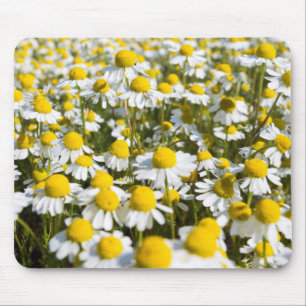Chamomile Field, Hungary Mouse Pad