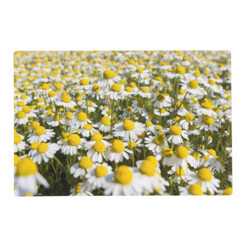 Chamomile Field Hungary Placemat