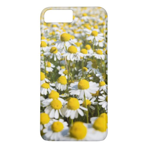 Chamomile flower close_up Hungary iPhone 8 Plus7 Plus Case