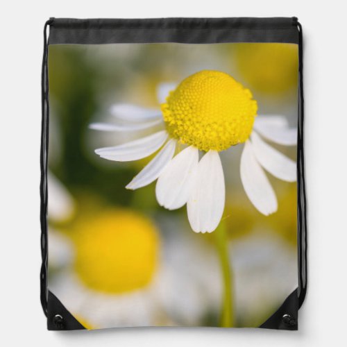 Chamomile flower close_up Hungary Drawstring Bag