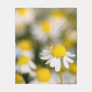 Chamomile flower close-up, Hungary Fleece Blanket