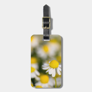 Chamomile flower close-up, Hungary Luggage Tag