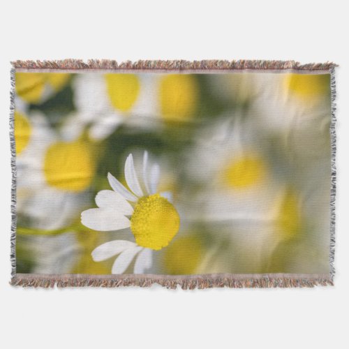 Chamomile flower close_up Hungary Throw Blanket