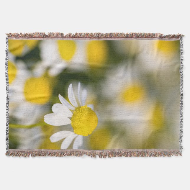 Chamomile flower close-up, Hungary Throw Blanket (Front)