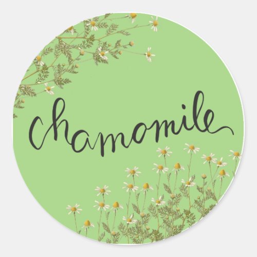 Chamomile flowers classic round sticker