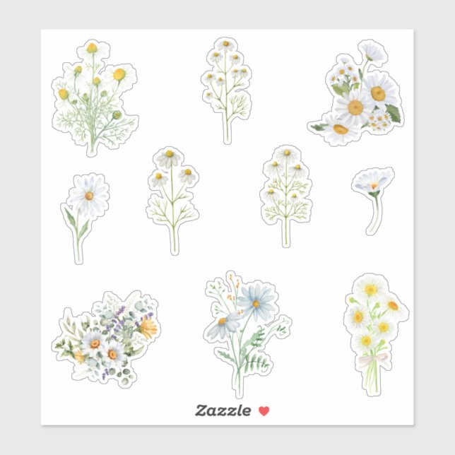 Chamomile Flowers  Sticker (Sheet)