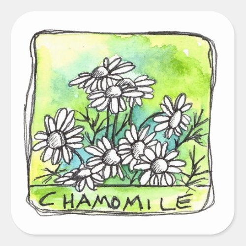 Chamomile Herb Tea Medicinal Plants Product Label