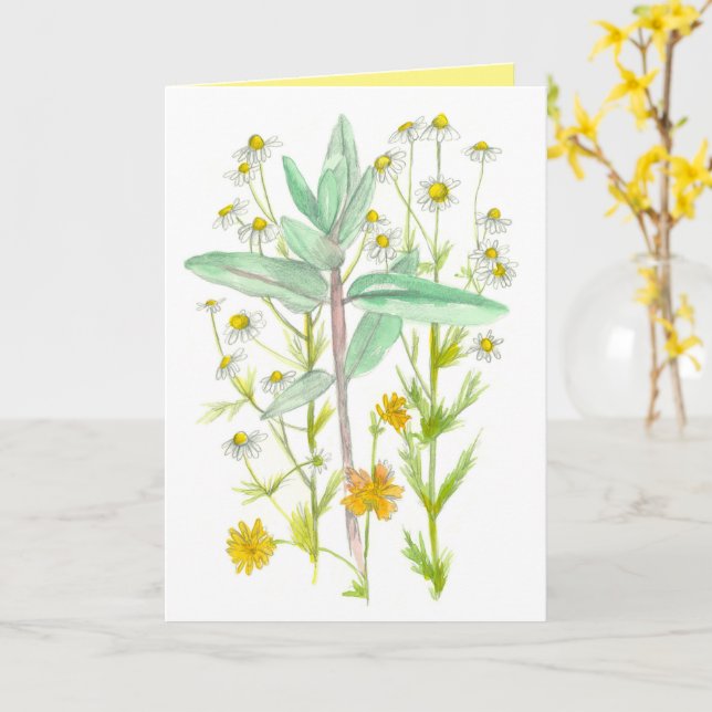 Chamomile Milkweed Garden Flowers Thinking Of You Card (Yellow Flower)