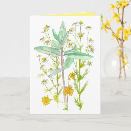 Chamomile Milkweed Garden Flowers Thinking Of You Card
