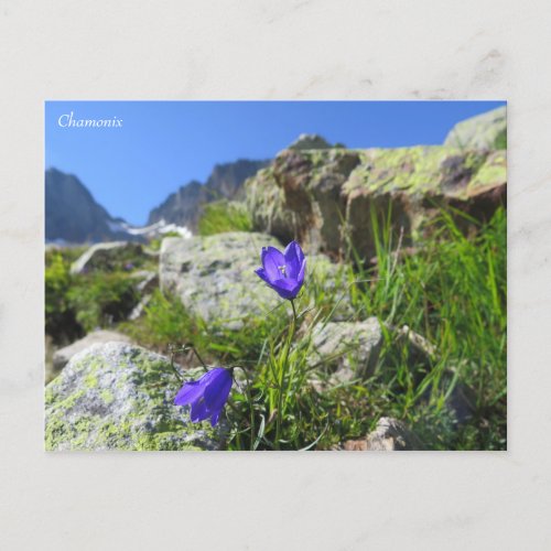 Chamonix French Alps Postcard