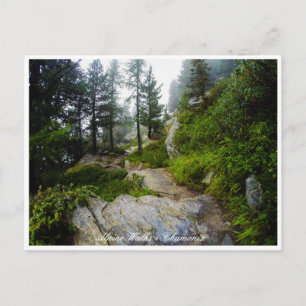 Chamonix - Mt. Blanc, Alpine Landscape, France Postcard