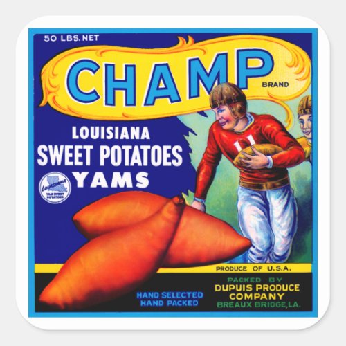 Champ Sweet Potatoes Square Sticker