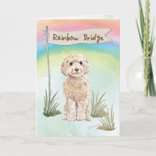 Champagne Cockapoo Pet Sympathy Over Rainbow Card
