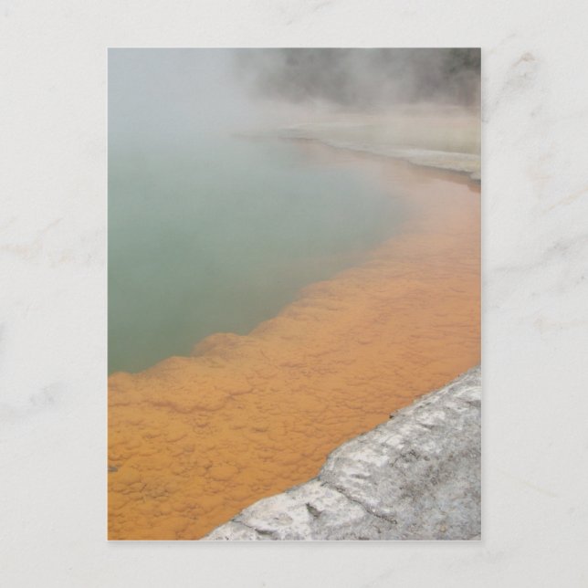 Champagne Pool Postcard (Front)