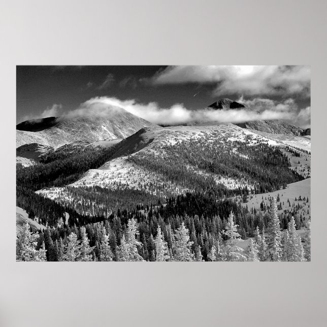 Champagne Snowscape Poster (Front)