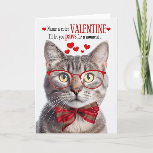 Champagne Tabby Cat Feline Humor Valentines Day Holiday Card