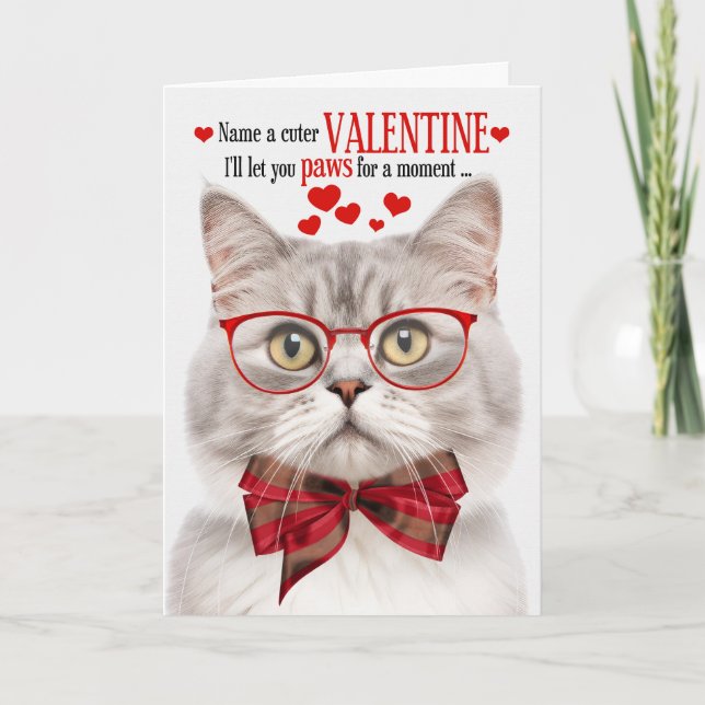 Champagne Tabby Cat Lover Valentine Feline Humor Holiday Card (Front)