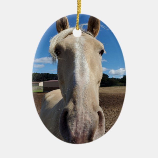 Champagne Tennessee Walking Horse ornament (Front)