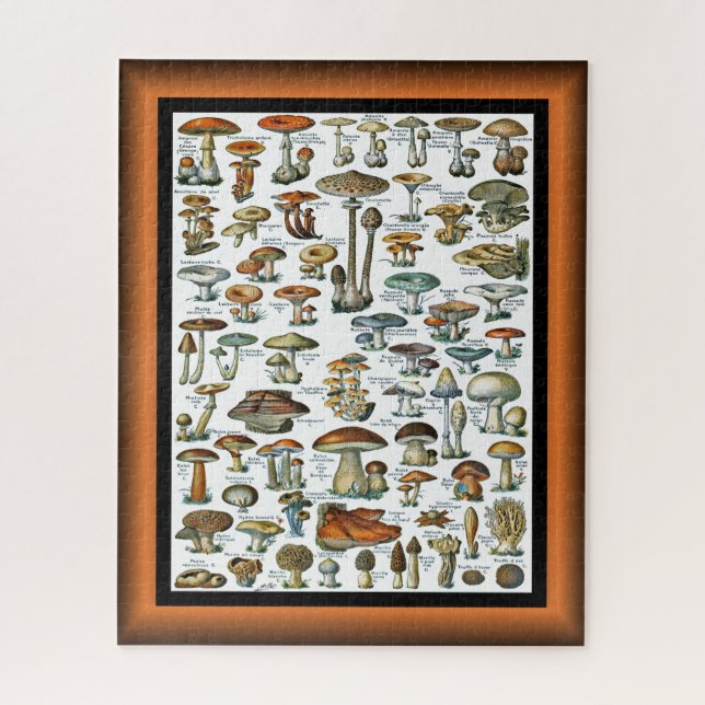 Champignons Pour Tous ~ Mushrooms For All ~   Jigsaw Puzzle (Vertical)