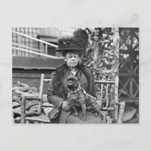 Champion French Bulldog, 1920s Postcard