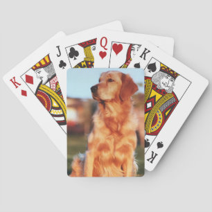 Champion Golden Retriever Amazing Pet Dog Poker Cards
