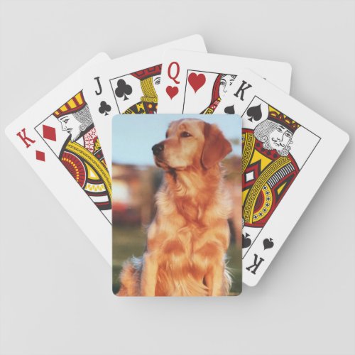 Champion Golden Retriever Amazing Pet Dog Poker Cards