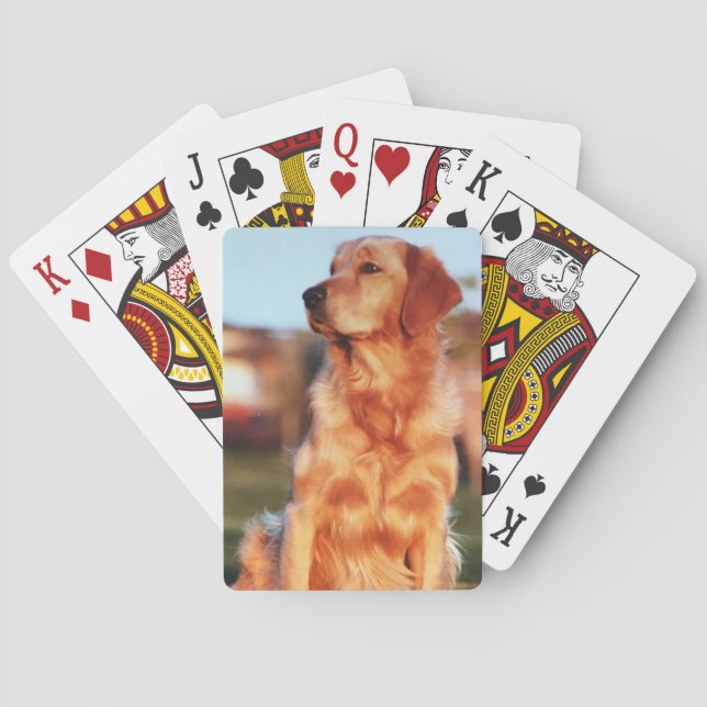 Champion Golden Retriever Amazing Pet Dog Poker Cards (Back)