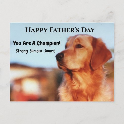 Champion Golden Retriever Fathers Day Postcard
