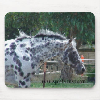 champion reining stallion mouse pad