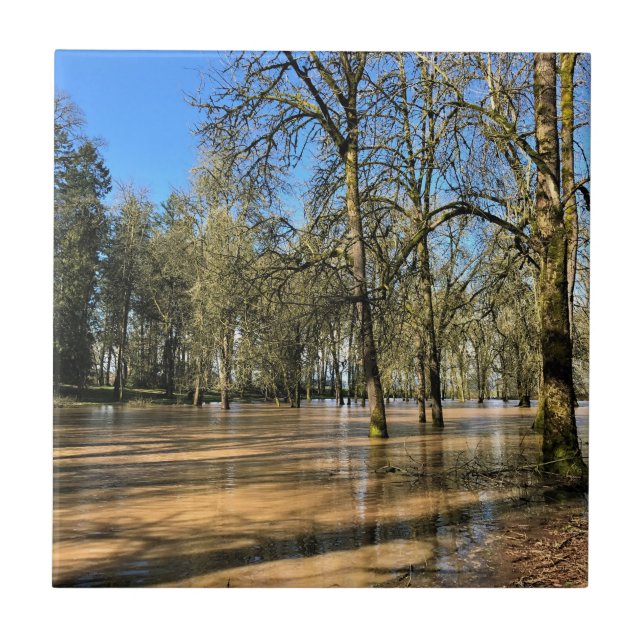 Champoeg State Park, Saint Paul, OR Ceramic Tile (Front)