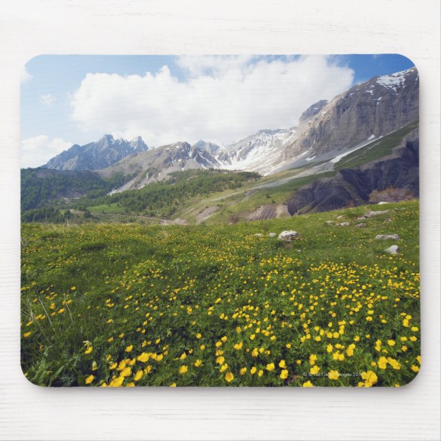 Champs Pass spring French Riviera Hinterland Mouse Pad (Front)