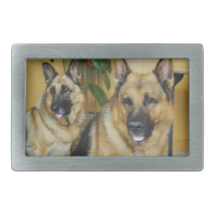 Chana & Win Tow Lovely German Shepherd Dogs Rectangular Belt Buckle