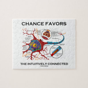 Chance Favors The Intuitively Connected (Neuron) Jigsaw Puzzle