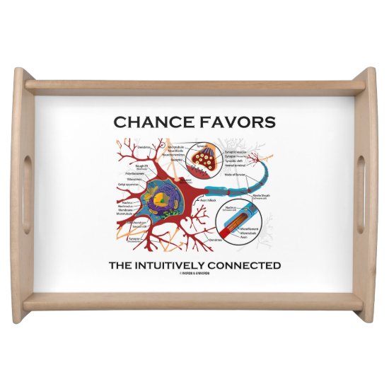Chance Favors The Intuitively Connected Neuron Serving Tray
