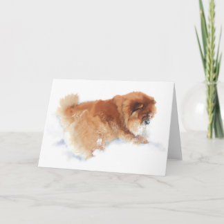 CHANCE MAKING SNOW ANGELS card