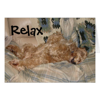 Chance Relax Cards