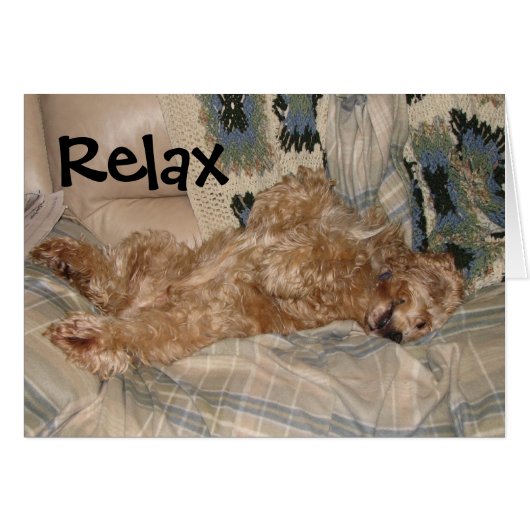 Chance Relax Cards (Front Horizontal)
