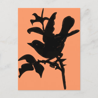 Change Background Color Postcard