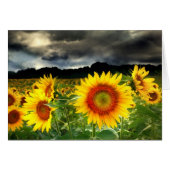 Change in the weather, Sunflower card (Front Horizontal)