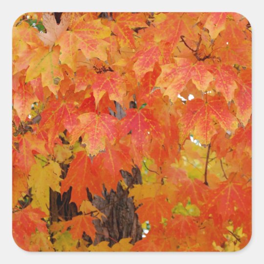 CHANGE IS COMING SQUARE STICKER