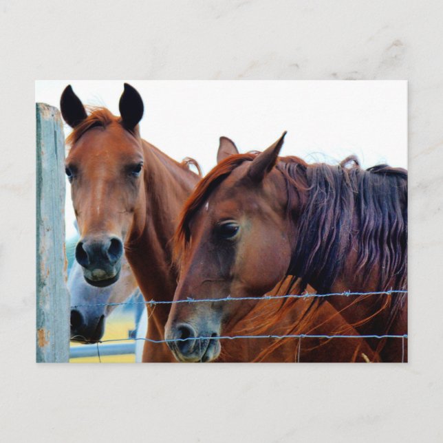 Change of Address Card (Front)