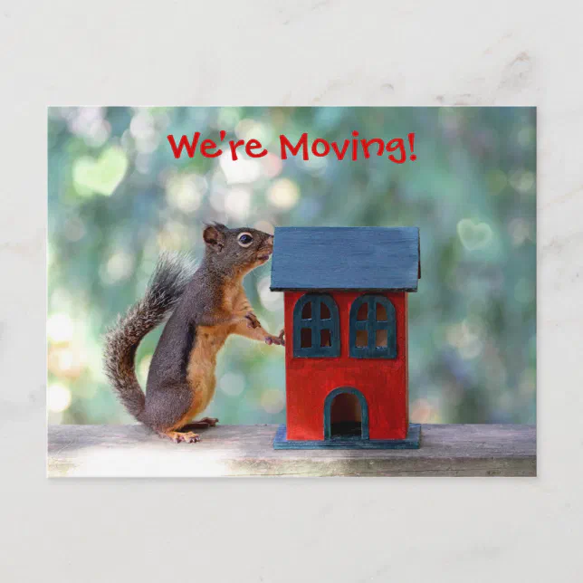 Change of Address Moving Announcement Squirrel (Front)