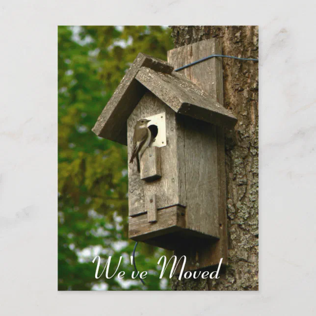 Change of address post card zazzle