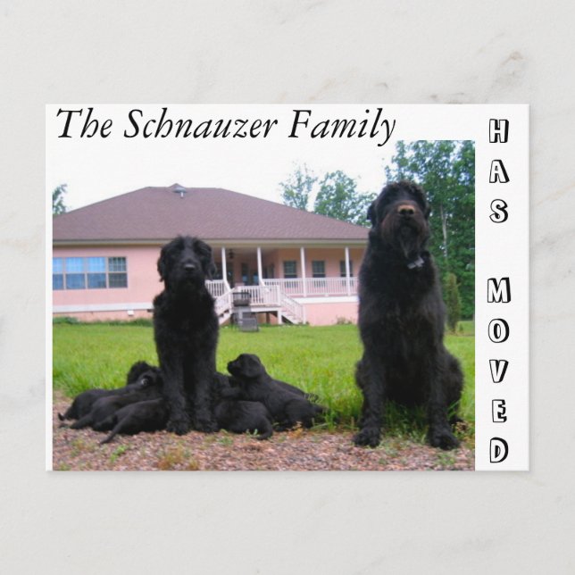 Change of Address Postcard (Front)