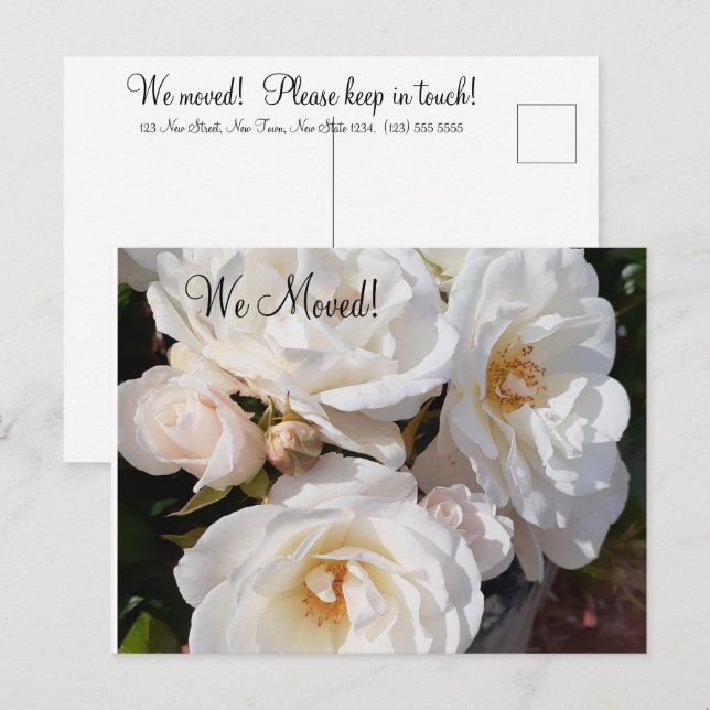  Change of Address Romantic Rose Postcard (Front/Back)